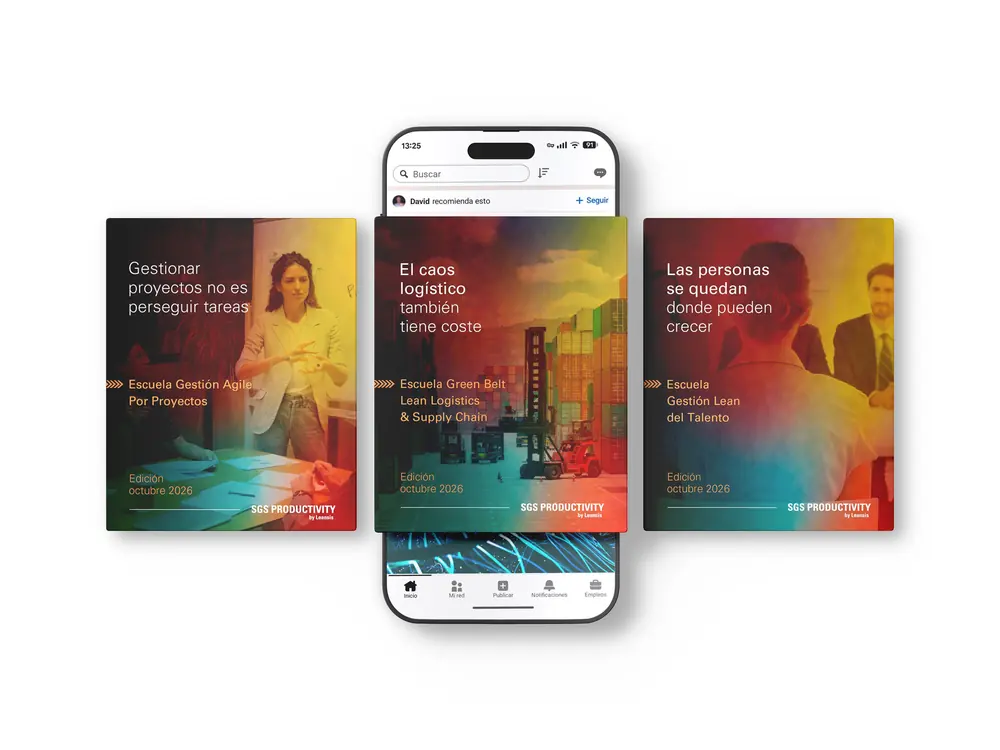 B2B advertising: SGS Productivity creative for LinkedIn